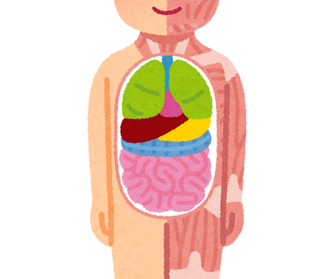 【萬象日語總鑑】人體部位日語詞彙一覽：由頭到腳一次認識！