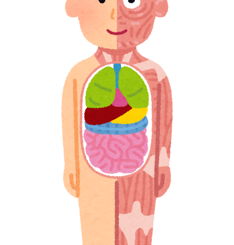 【萬象日語總鑑】人體部位日語詞彙一覽:由頭到腳一次認識!