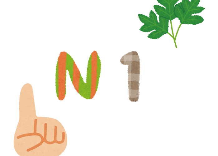 【課程編號 N1-E】N1綜合應用