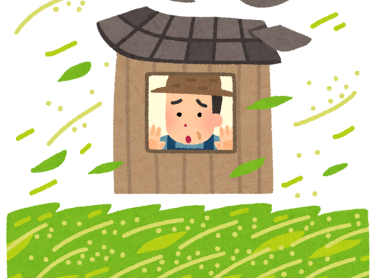 【日語的靈魂調味 | 副詞全書】はらはら:因擔心而心懸或葉片飄落