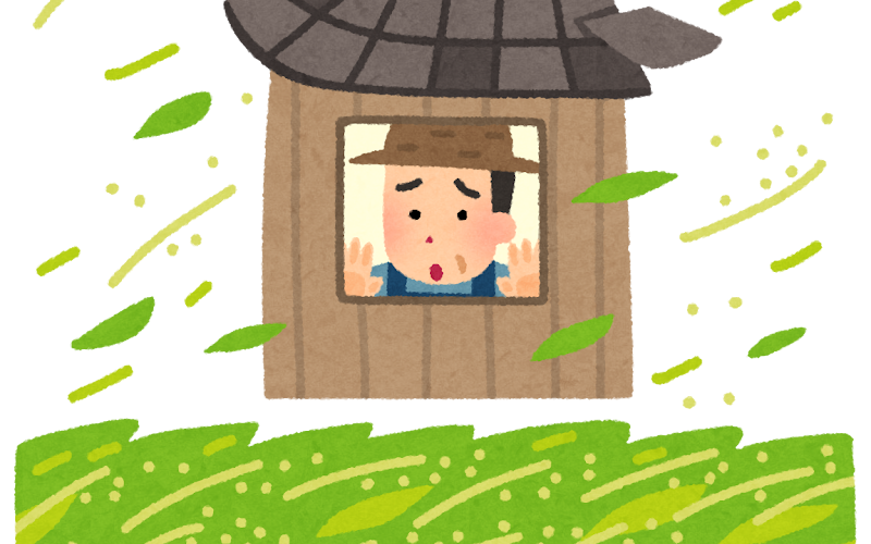 【日語的靈魂調味 | 副詞全書】はらはら:因擔心而心懸或葉片飄落