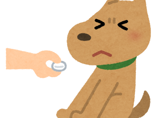 【拆解近義詞】找出【～がる】與【～ぶる】與【ふりをする】中間的微妙用途及意思之別
