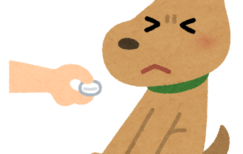 【拆解近義詞】找出【~がる】與【~ぶる】與【ふりをする】中間的微妙用途及意思之別