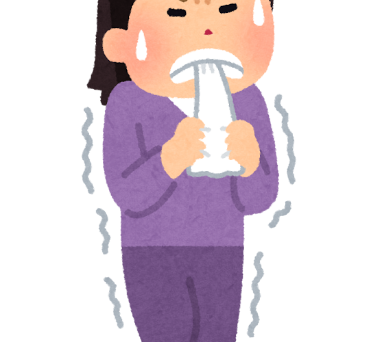 【1日1文法】〜からには/からは:表示既然如此便承擔後項
